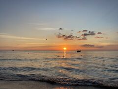 今日は景色運が良い。