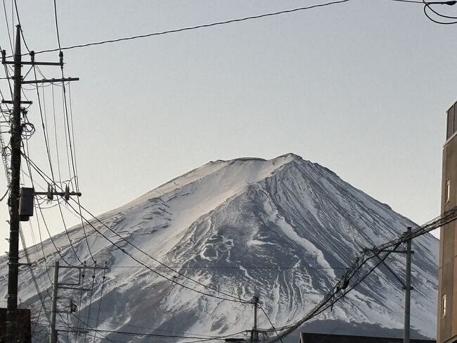河口湖畔の早朝さんぽ。』富士五湖(山梨県)の旅行記・ブログ by