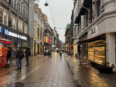 朝10時前のストロイエ通り。
ウィンドウショッピングをしたり、ラウンドタワーに行ったりしました。
雨でかなり寒く、マックをテイクアウトしてランチはホテルで休憩。