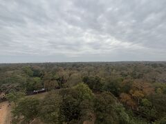 チケットセンターから緩い下り坂になっており、ピラミッド周辺が底になっているからか、思ったより高さを感じないし、見晴らしもよくない。
天気が良かったら違った光景だったかもしれない。