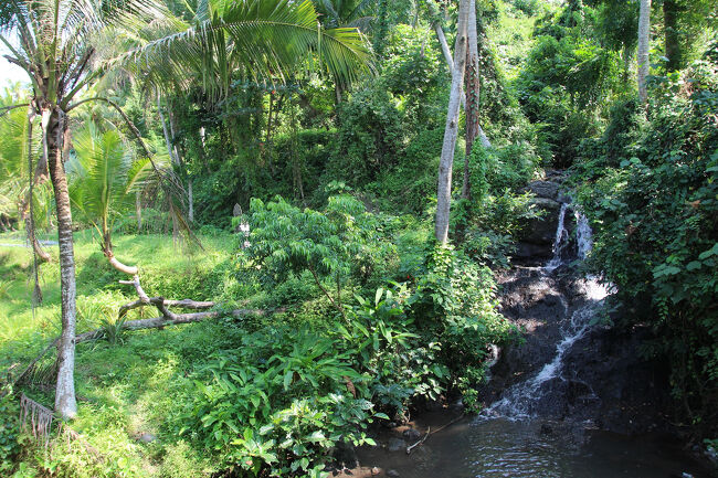 綺麗な小川・滝も