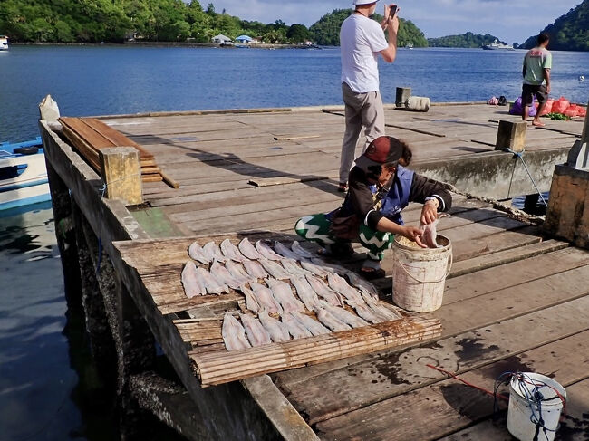 桟橋で魚を干す人。