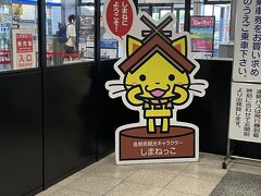 しまねっこに迎えられて出雲縁結び空港に到着しました。