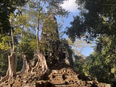 アンコール遺跡には何度も来ているのに、なぜか今回が初めてのプリアパリライ。
整備されたタプロームよりも、今やこちらの方が迫力があるな。