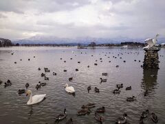 瓢湖に到着しました(^^)

残念ながら日本海側らしい天気ですが、帰りのバスの時間まで散策しましょう(^^)