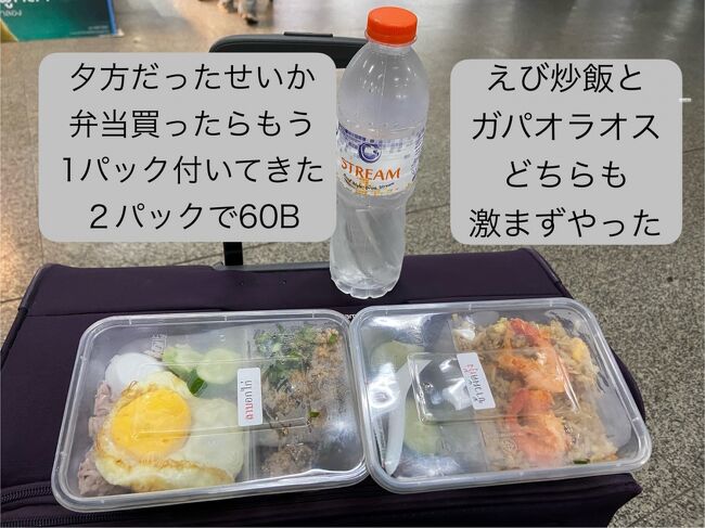 オートーコー市場<br />のあるカーンペンペット駅から<br />MRTバンスー駅まで移動しました<br /><br />バンスー駅に着いたときに<br />車内で食べるかもしれないので<br />駅のスタンドで買った弁当<br /><br />激安だったが激マズでした<br />・米が匂う<br />・海老が生臭い<br />・なんかびちゃびちゃ<br /><br />さっきのエビ炒飯で舌のハードルが上がってた？