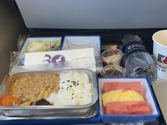 飛行機での移動