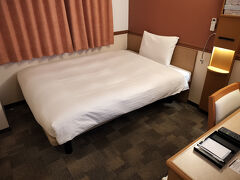 新快速を乗継いで、大阪の実家まで。
（当初は日本海沿いに南下予定だったので）

