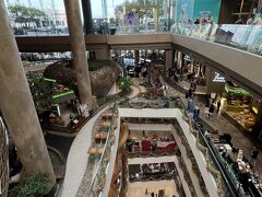 でかいです。綺麗です。新しいです。