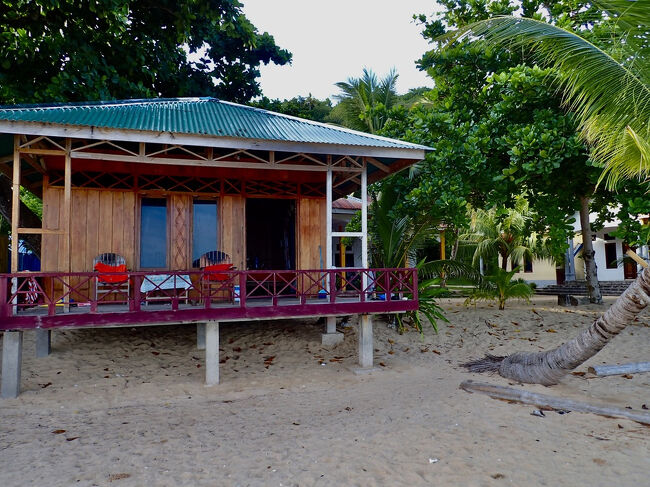 自分達の泊まっているバンガローにも、