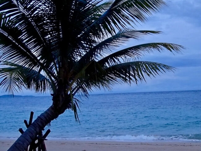 この様な日の海の中は、<br />どんな感じになっているかと、<br />好奇心から自分も海に潜ります。