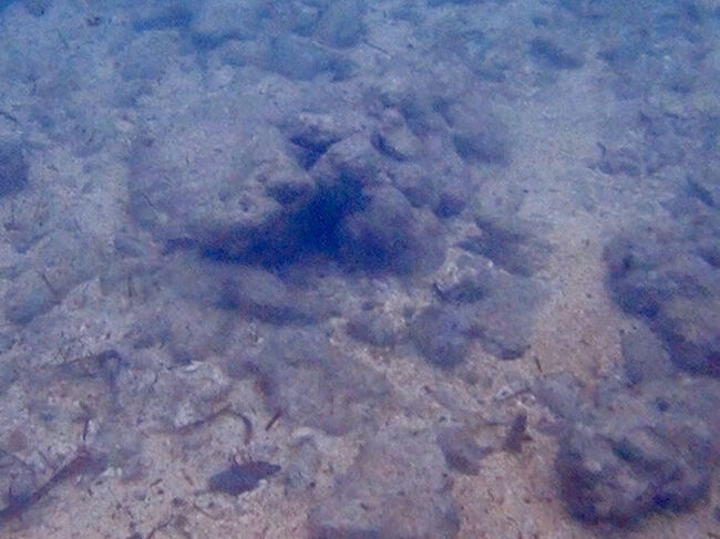 海の中もどんよりしています。<br />海岸近くの砂と石から少し泳ぐと、