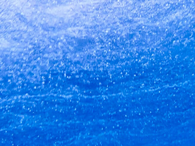 海面が泡立っています。