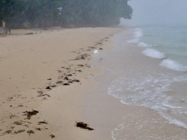 海を上がって、急いでバンガローに戻ります。<br />激しい嵐の中のハッタ島です。<br />ーーーーーーーーーーーーーーーーーーーーー<br />2024/12/4(水) 合計(インドネシアルピア)          <br />飲食・雑貨          30kルピア             <br />計                      30kルピア<br />10,000ルピア＝100円として 300円<br /><br />2019/11/27から旅を初めて1832目まで<br />計 9,765,854円使用。<br />1日、5330円 使っています。