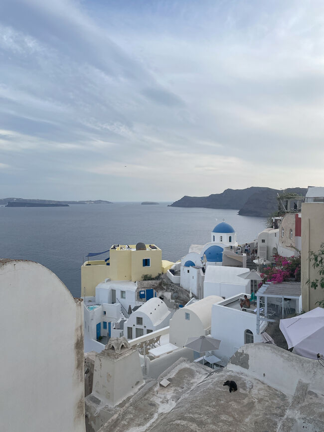 手前の黒いのは猫ちゃんです。<br />すごいところに寝ています。