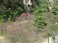 お庭だけでも見ようと思ったのに、