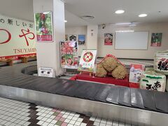 結局、定刻に到着。ぶっ飛ばしてくれた？
とにかく良かった(⁠ ⁠ꈍ⁠ᴗ⁠ꈍ⁠)