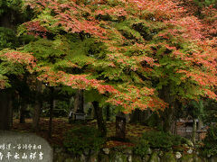 で永平寺
見頃少し前かもしれないが十分紅葉していた。