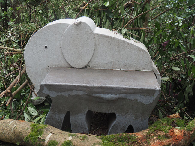 象コレクションを増やします