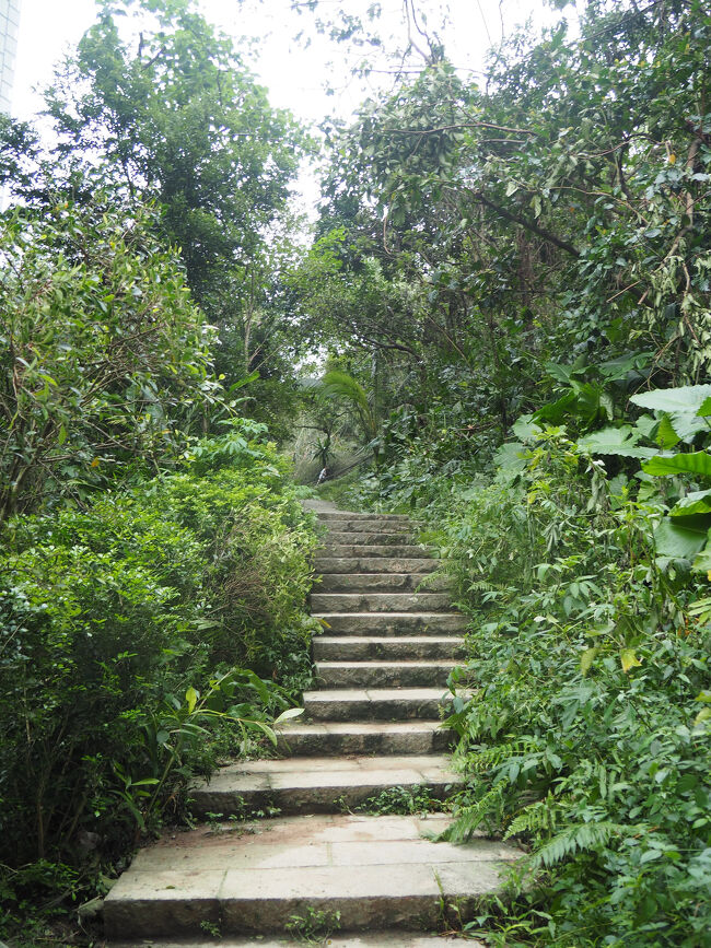 階段しんどいｗｗ<br />ちょっとしたハイキングと思ったが全然違うｗ<br />登り始めてすぐに汗だくになってやばい・・