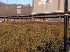 高架の駅ホームから階段を使い降ります。昨日のゴール地点、ホームセンター裏側に向かいます。