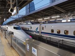 そして東京駅から名古屋駅へ。
のぞみは全席指定だった為、自由席だけ買ってひかりに乗りました。
上りはUターンラッシュのピークだったみたいですが、直近のひかりに普通に座って帰れました。