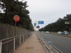 茅ヶ崎公園