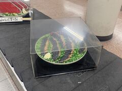 高知龍馬空港に到着しました！JALマイルで2人文は分のチケットを取りました。2人で往復2万マイルです。