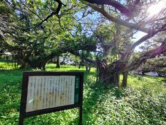 まず最初に訪れたのは南山城跡
こちらの歴史は本土の歴史とは一線を画しているので興味がある反面 少し理解ができない部分もある