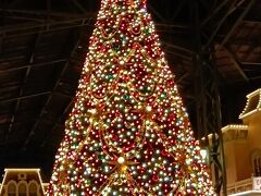 ツリー綺麗！写真撮るのも一苦労！