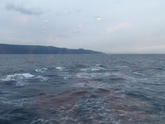 伊豆大島椿まつり