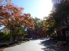 「楽寿園」入口付近。

わー、紅葉が始まっている！！。

「楽寿園」は、明治維新で活躍された小松宮彰仁親王が明治２３年に別邸として造営されたものだそうです。
現在は市立公園として三島市が管理運営していますよ！。