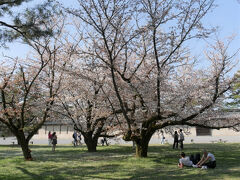日陰になる芝生の上で休憩中の方々も。