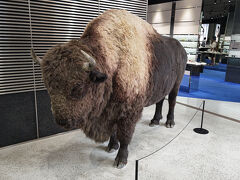 プロンポンの駅前のデパート、エムクーティエの中に巨大な動物が出入りしているように見えて、近付いたら…ま、そんなわけ、ないわな（笑）