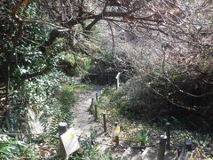 大仏コースを歩きます