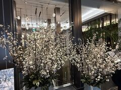 さて、待ち合わせの三越前で無事全員合流出来て、会場のこちらへ!(^^)!

コートヤードマリオット銀座東武ホテル。
ロビー階にはもうこんな風に桜が満開でした！テンションあがる～♪
