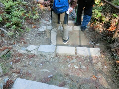 貴船への下山コースは写真のような下り坂の石段。
このような道がずっと続くので膝に応える。