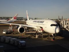JAL907便 那覇行きです。今回はJシートJAL(特典航空券)を利用しました。

これに搭乗予定のようです。