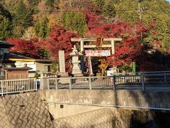 もみじ祭りの期間は終わっていますが今年の紅葉は全体的に遅め。鳥居に到着時から期待が高まります。こちらは秩父御嶽神社で、境内社として東郷神社などがあります。
