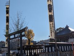 まだ人もまばらなので先に御旅所に来ました。御旅所とは神が巡行の途中で休憩や宿泊する場所のこと。今日の夜祭は大祭なのでここを目指して神輿や屋台・笠鉾が集まってきます