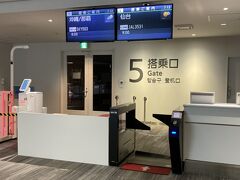 飛行機での移動