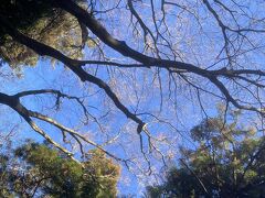 空が青すぎる。
長野を思い起こさせる濃いブルー。