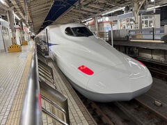 お鼻の長い新幹線を目の前で観るのは
初めてのバロン妻は大興奮

だって、前回新幹線に乗った時は
確か車内に日本食堂があった時代だと思うから
新幹線のお鼻は丸かったのよ