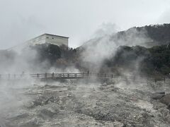 悪天候の中、ちょっと外にお散歩。でも、かなり風も強くなってきたので地獄だけちょっとみただけ。