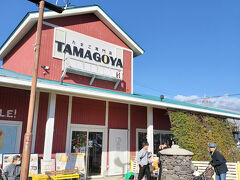 Cafe brunch TAMAGOYA