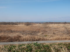 中の島公園