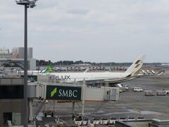 今回利用するのは初めて乗るスターラックス航空です。