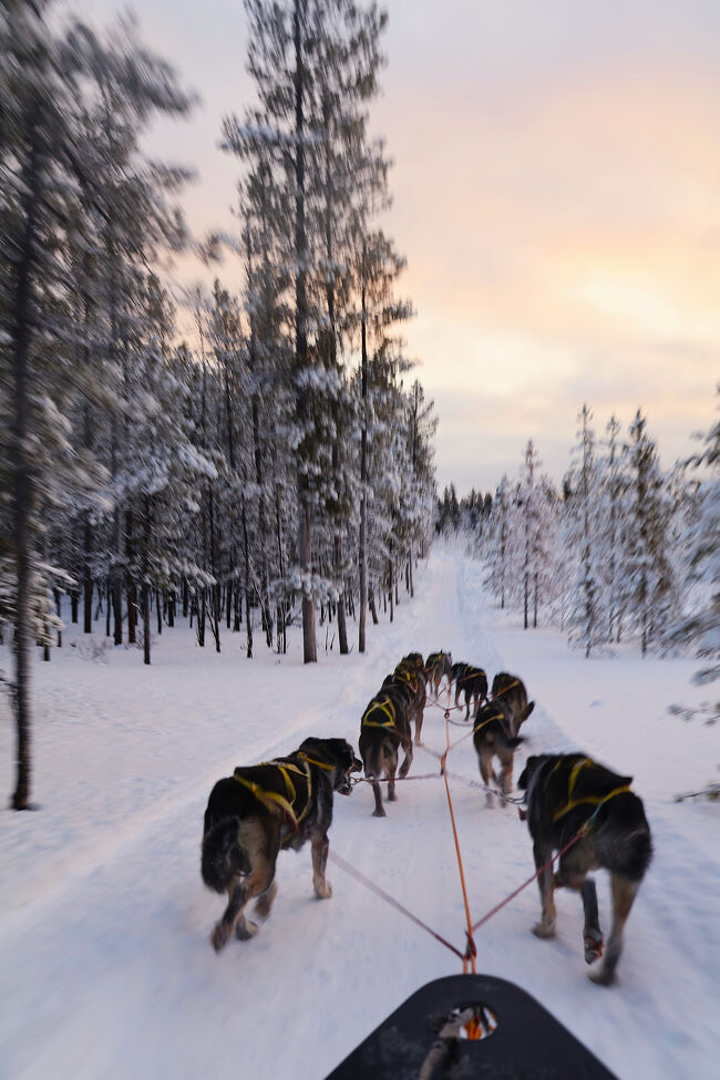 この日、宿に戻ったのは13時過ぎ。<br />宿の共同キッチンで饂飩をゆでて軽めのランチをしたら、夜までお昼寝タイム。<br />だって、夜にはオーロラが出るかもしれないし。<br /><br />寝る時間がある時に寝ておかないと、せっかくの夜に居眠りしてしまったら今回の旅の目的を果たせない本末転倒なことになってしまう。<br />