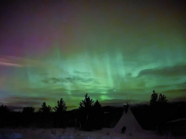 月がないのに、雪で覆われた大地はほんのりと明るく、木々のシルエットもくっきり。<br /><br />