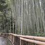 京の冬の旅2025